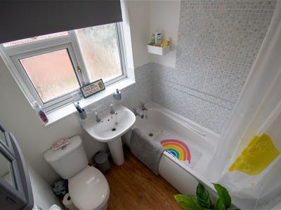 Picture 12